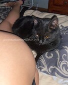 Анкета проститутки Тая - метро Северное Медведково, возраст - 21